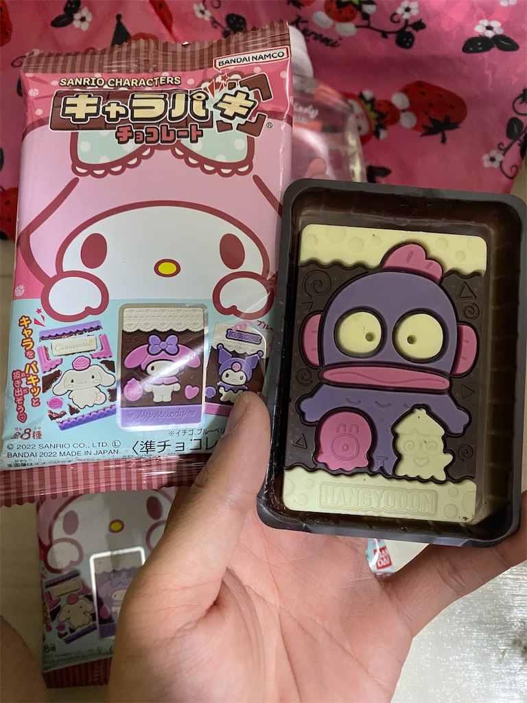 f:id:akkycheung:20230603134625j:image