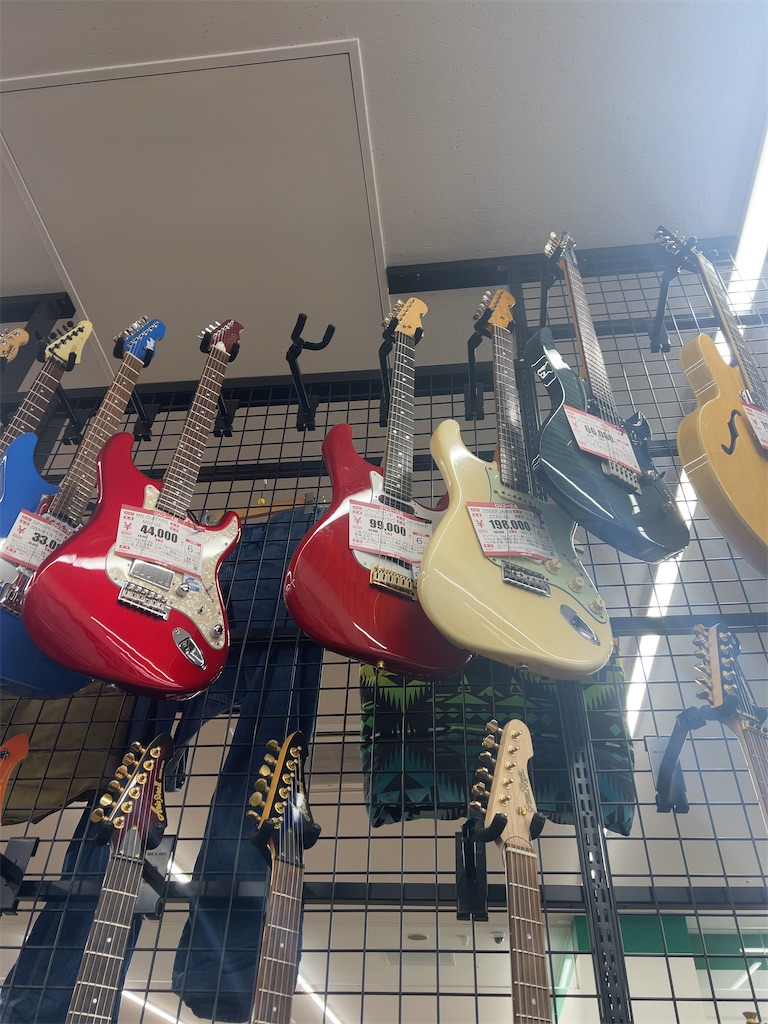 f:id:akkycheung:20240113164949j:image f:id:akkycheung:20240113164949j:image