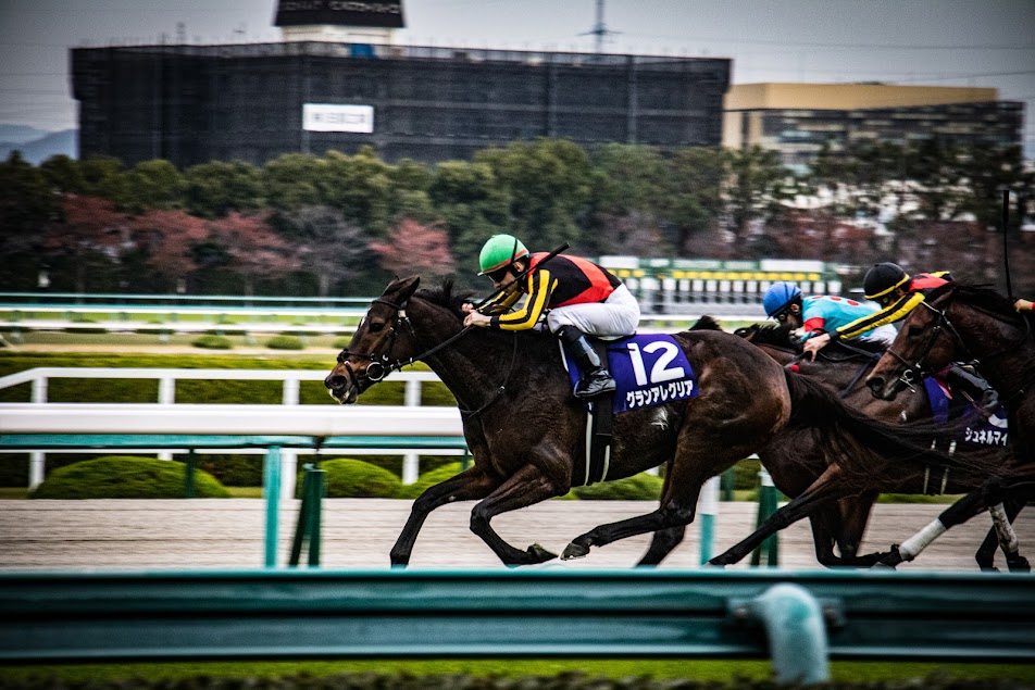 競馬の本名は 年齢は 身長は 恋人はいる のびる大人 競馬の本名は 年齢は 身長は 恋人はいる のびる大人