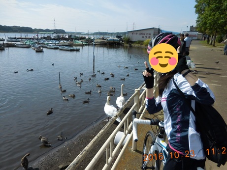 f:id:akmtyuhi2012:20181008152209j:plain