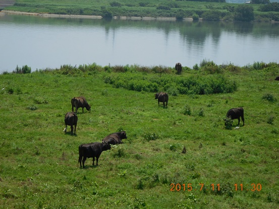 f:id:akmtyuhi2012:20190803200515j:plain f:id:akmtyuhi2012:20190803200515j:plain