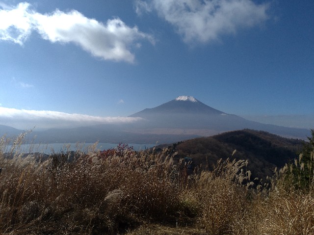 f:id:akmtyuhi2012:20201115175052j:image