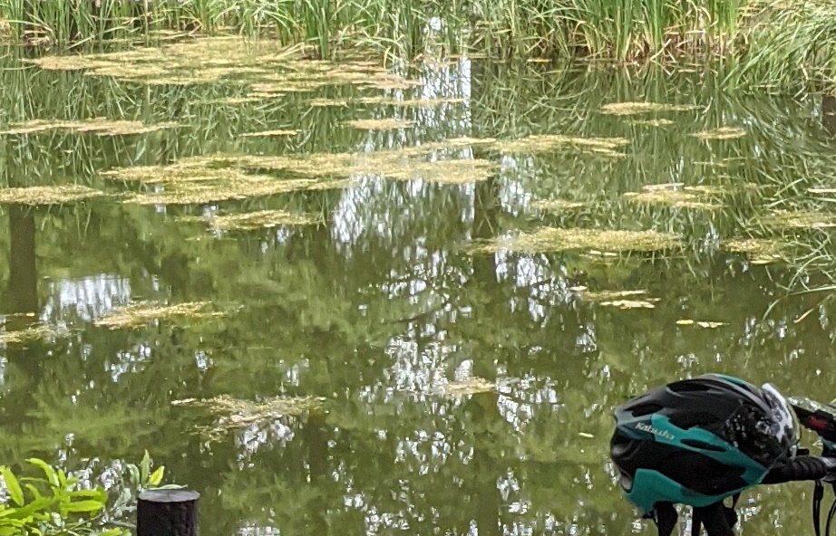 f:id:akmtyuhi2012:20210626234213j:plain