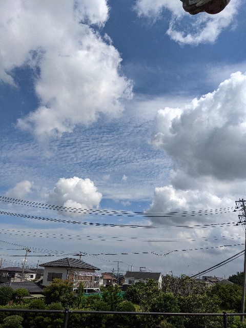 f:id:akmtyuhi2012:20210725081613j:image