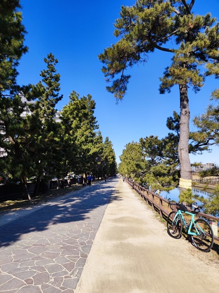 f:id:akmtyuhi2012:20220122205019j:plain