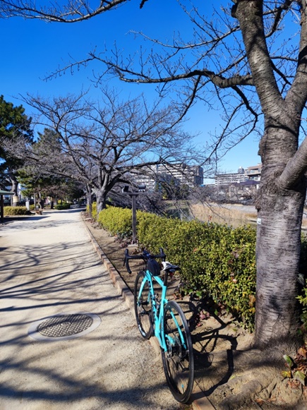 f:id:akmtyuhi2012:20220122205037j:plain