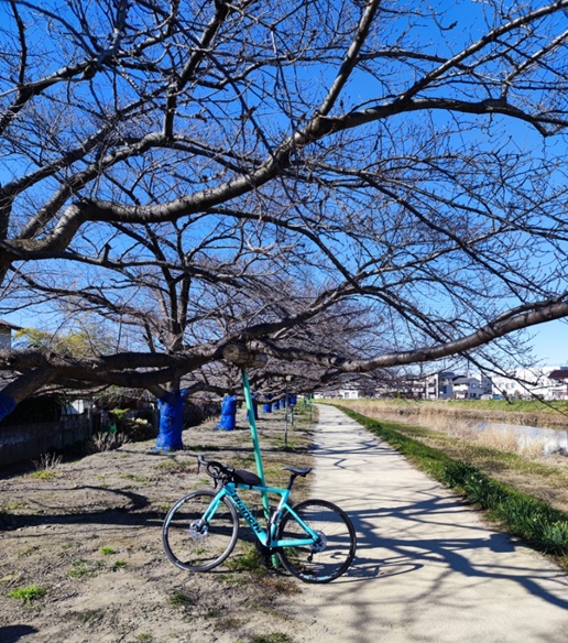 f:id:akmtyuhi2012:20220122205316j:plain