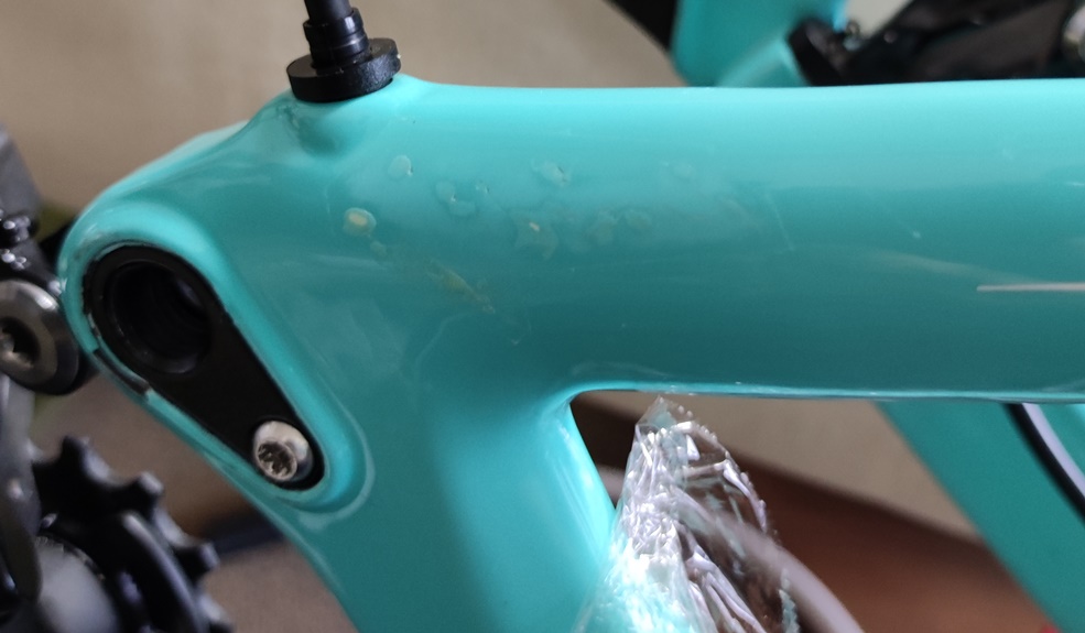 ビアンキ チェレステカラー控え目