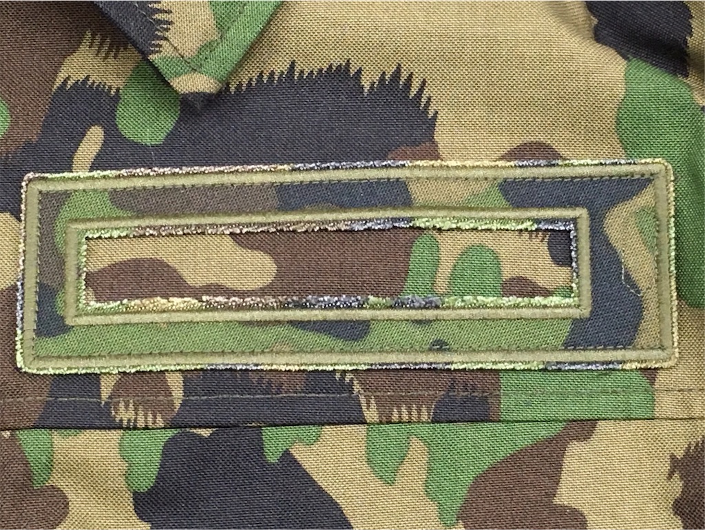 モデル品の決定版！【スイスの軍服】陸軍迷彩フィールド