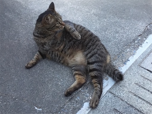 f:id:akmuzifal6489:20190706065640j:image