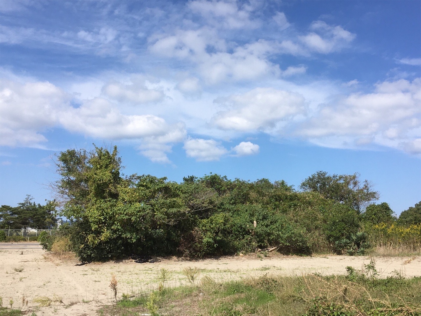 f:id:akmuzifal6489:20201031005432j:image