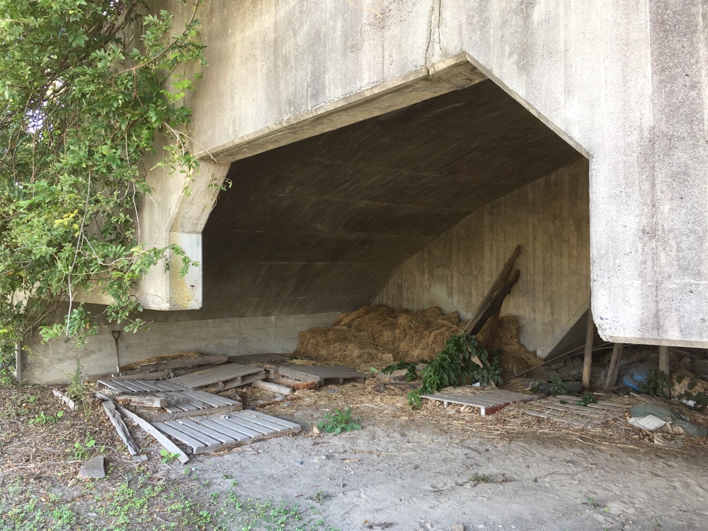 f:id:akmuzifal6489:20201031005441j:image