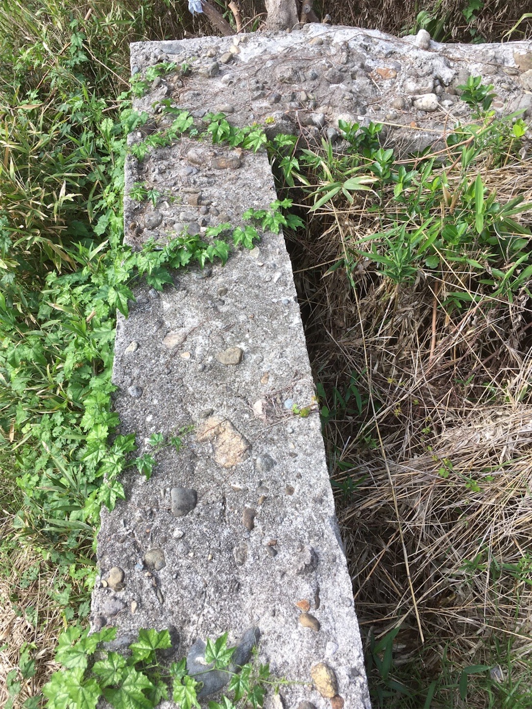 f:id:akmuzifal6489:20201031005811j:image