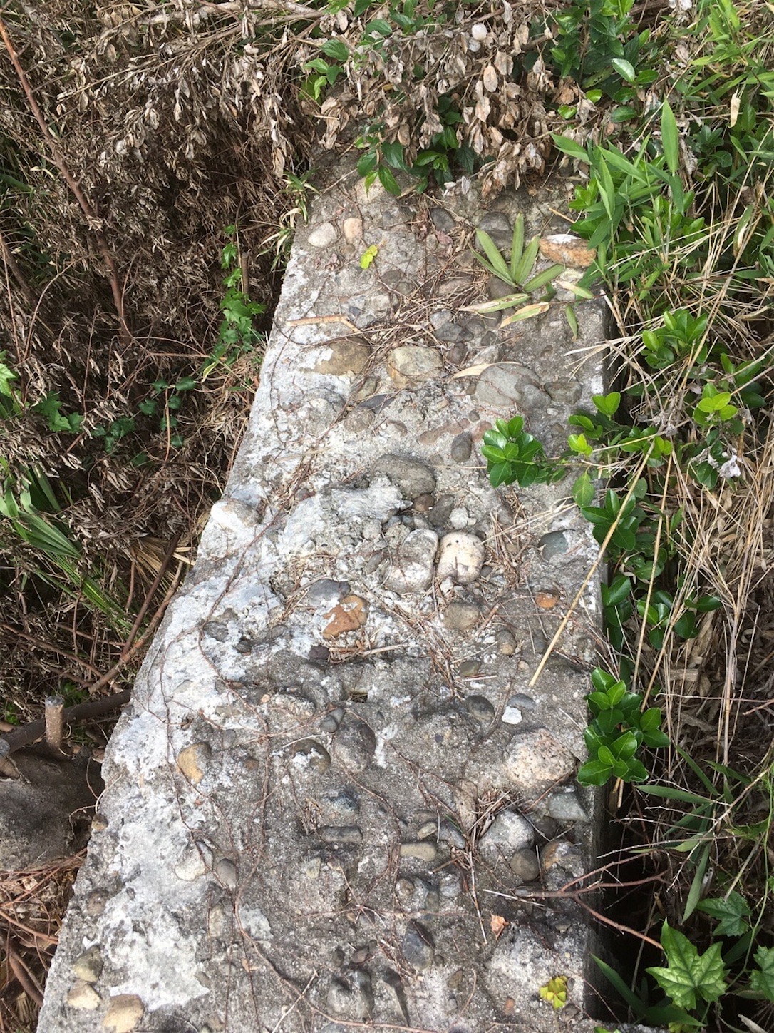 f:id:akmuzifal6489:20201031005912j:image