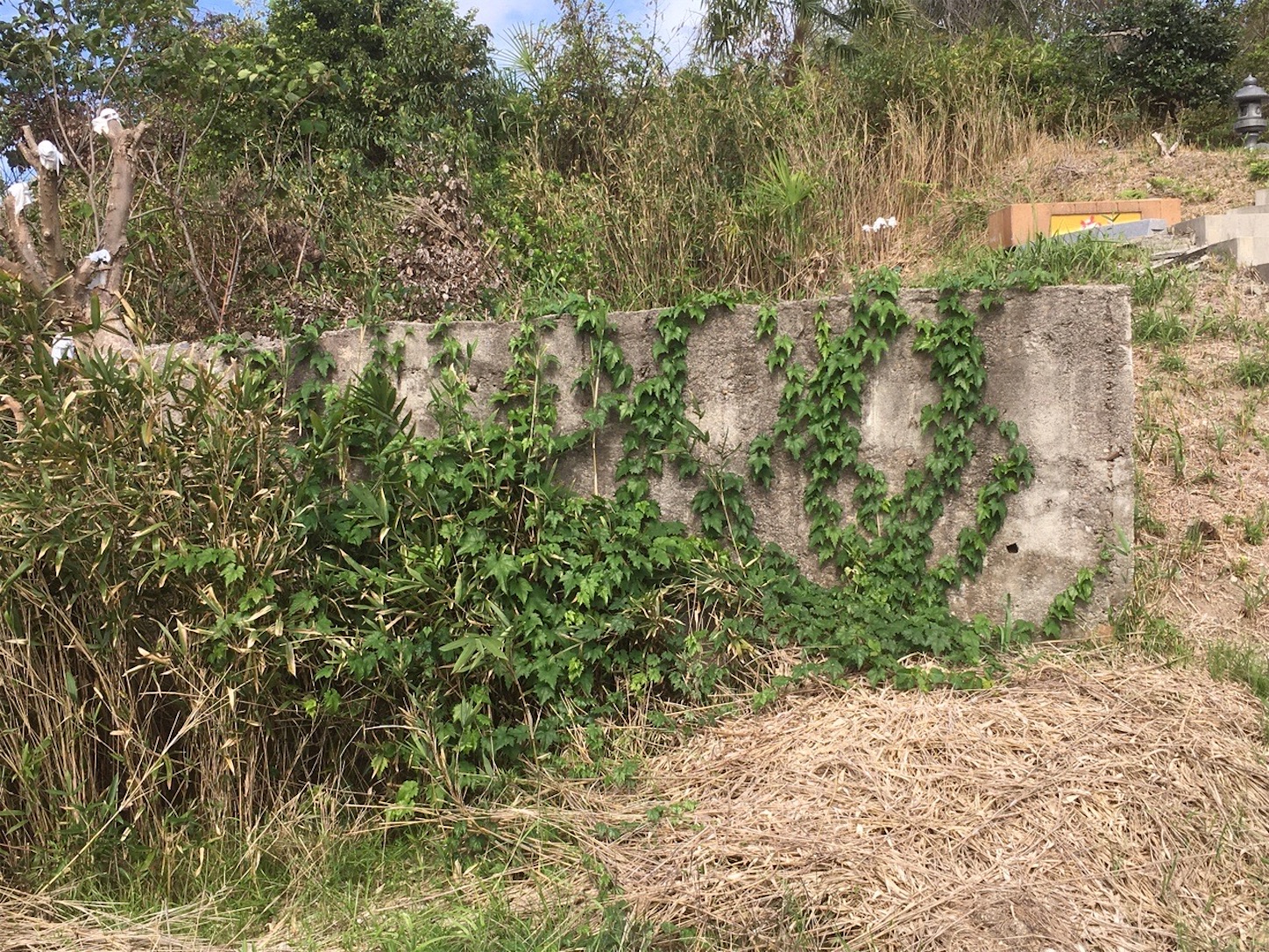 f:id:akmuzifal6489:20201031005927j:image