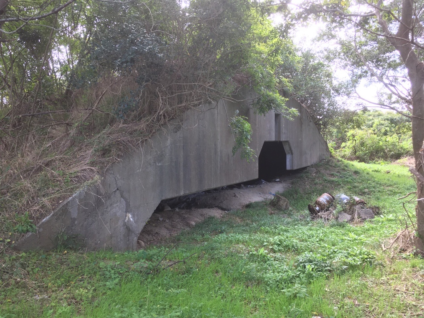 f:id:akmuzifal6489:20201031005940j:image