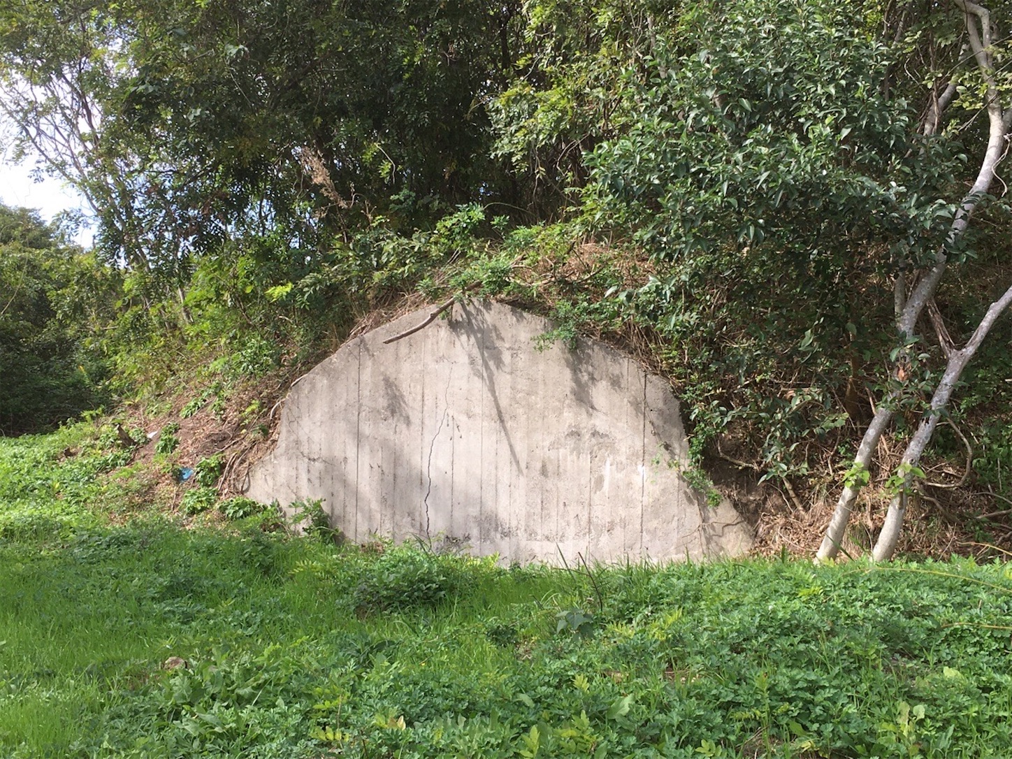 f:id:akmuzifal6489:20201031010006j:image