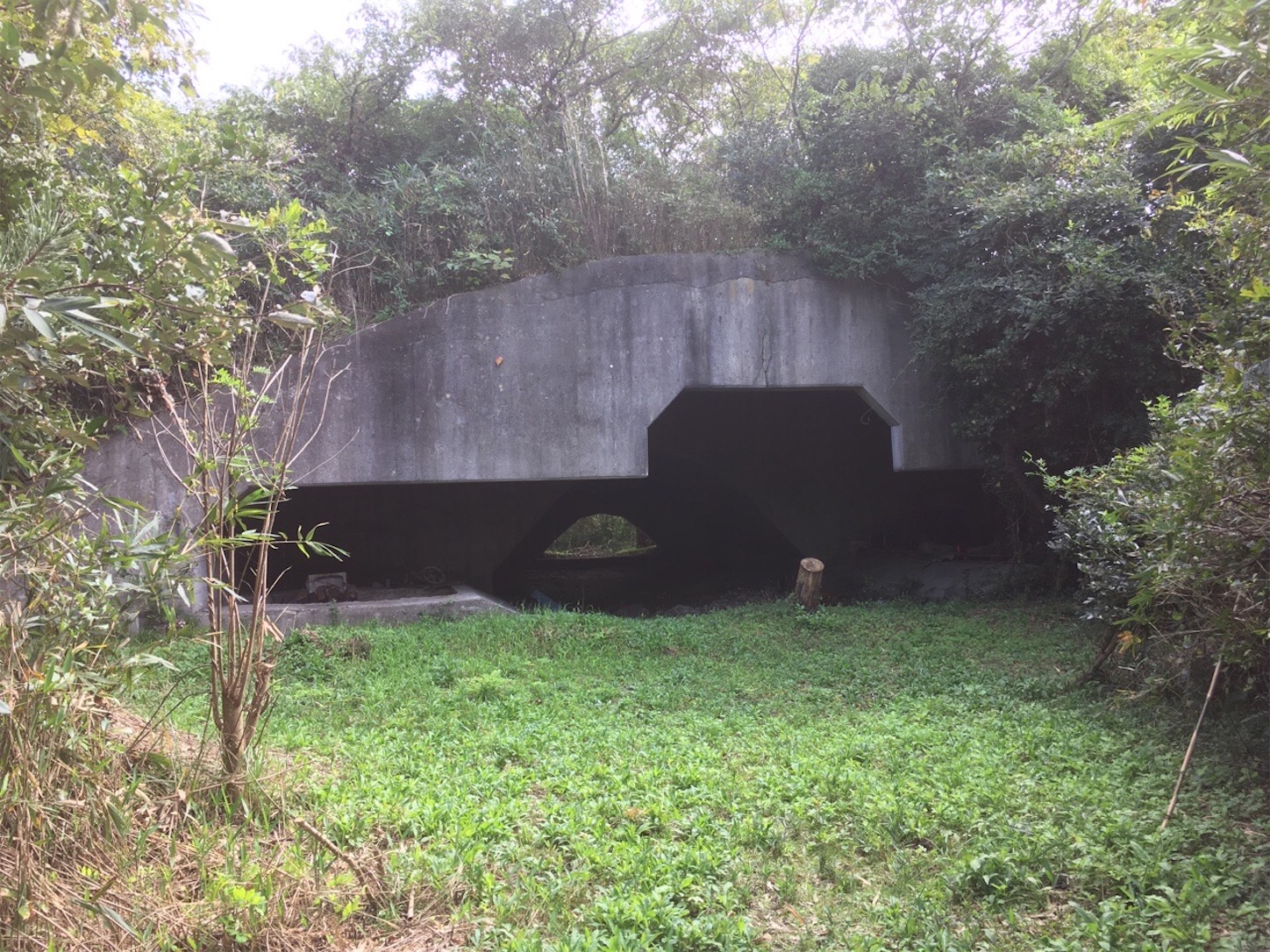 f:id:akmuzifal6489:20201031010049j:image