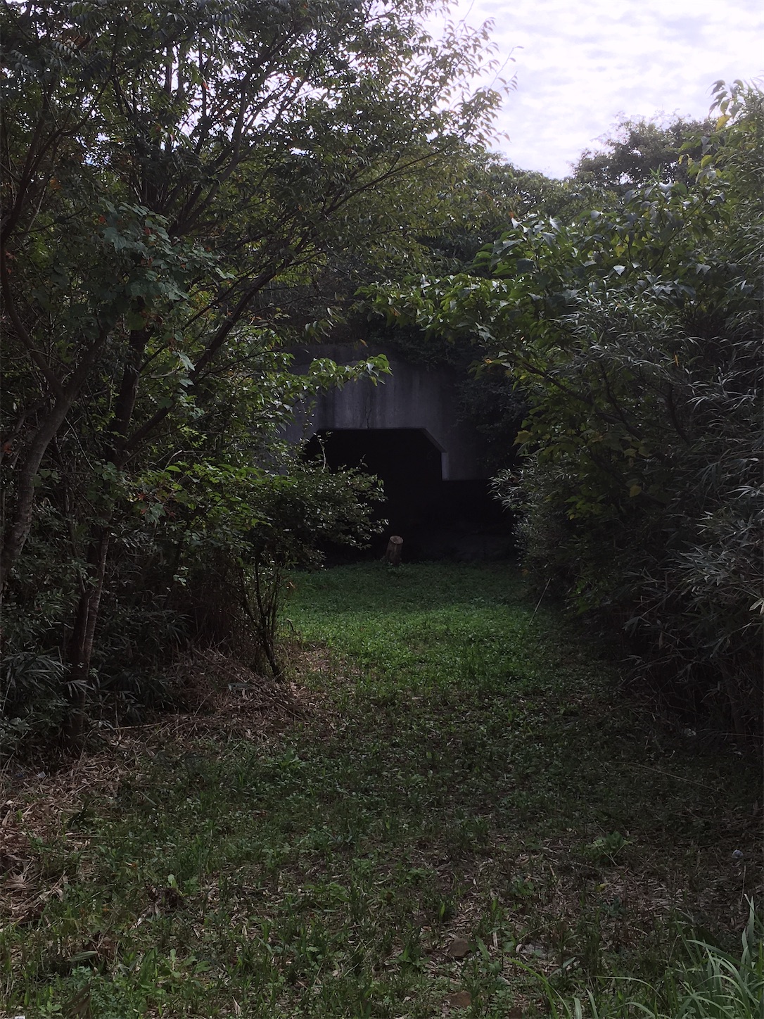 f:id:akmuzifal6489:20201031010120j:image