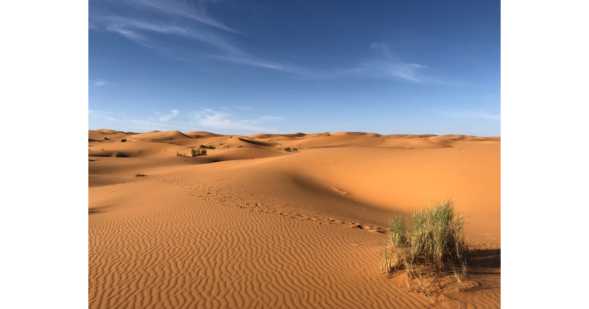 迷彩色にグリーンあり！【ドイツの軍服】陸軍砂漠用迷彩ユニフォーム