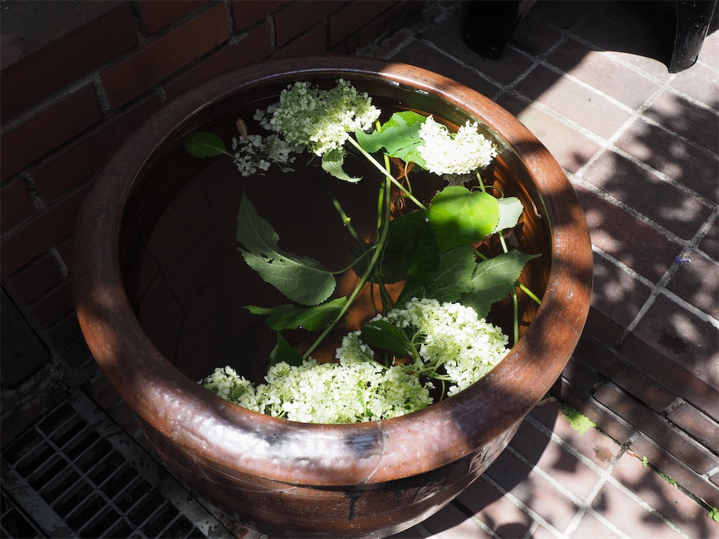 f:id:aknyonaka:20240723002534j:image