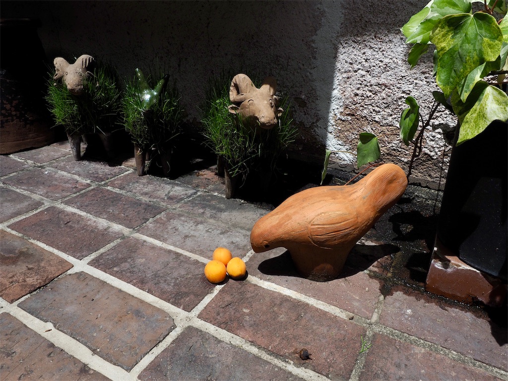 f:id:aknyonaka:20240723002548j:image