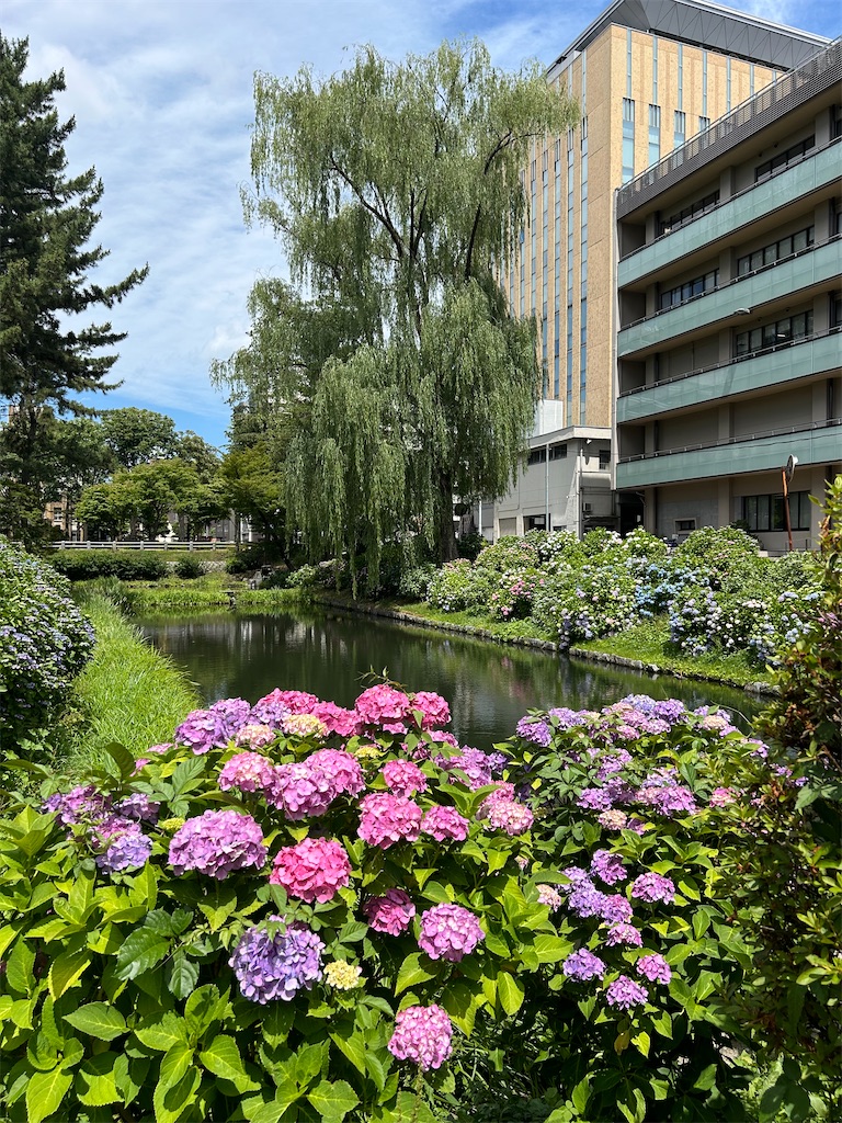 f:id:aknyonaka:20240723004346j:image