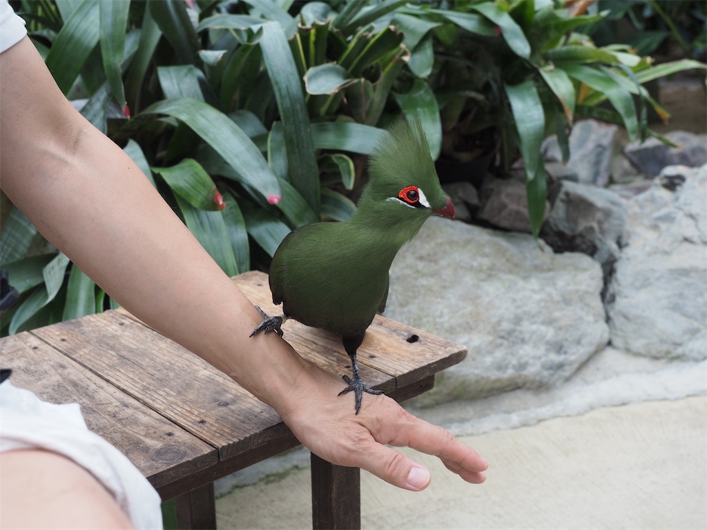 f:id:aknyonaka:20240915143839j:image