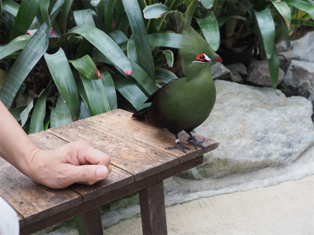 f:id:aknyonaka:20240915143842j:image