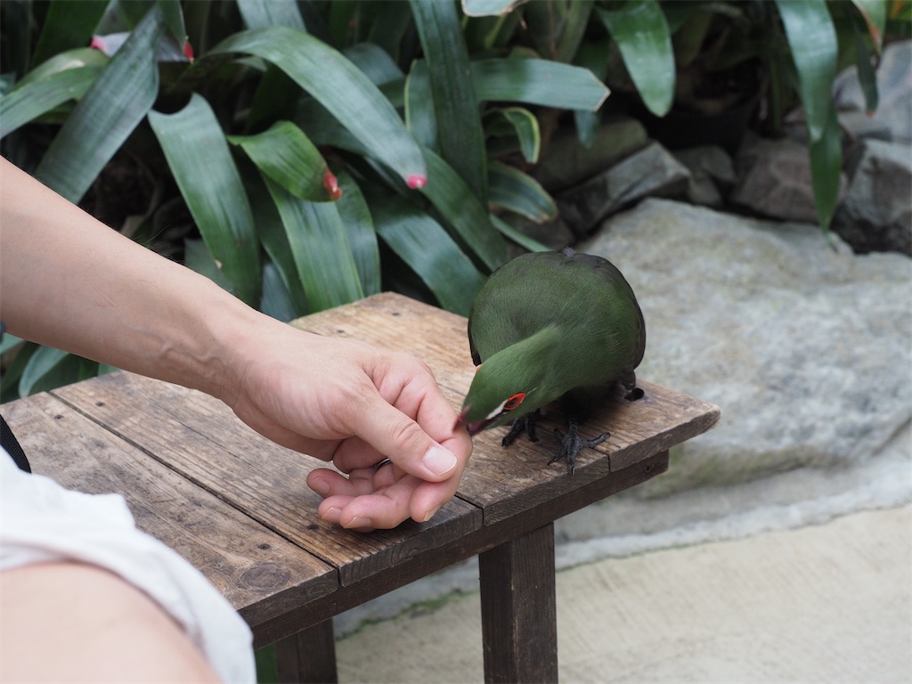 f:id:aknyonaka:20240915143846j:image