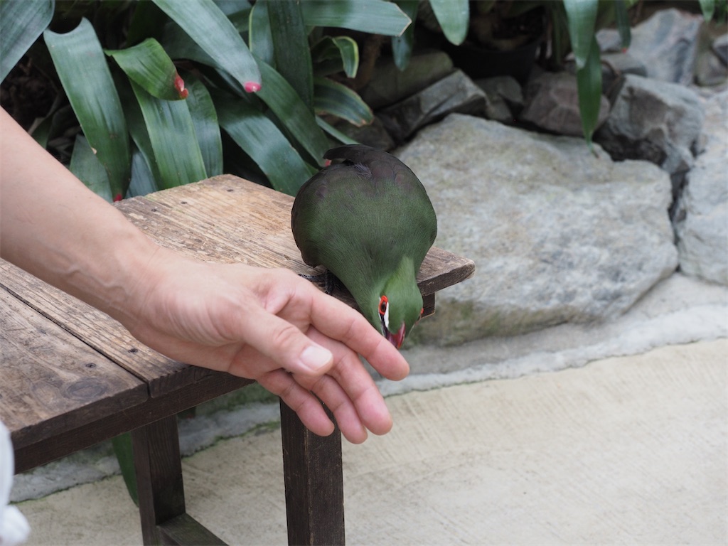 f:id:aknyonaka:20240915143849j:image