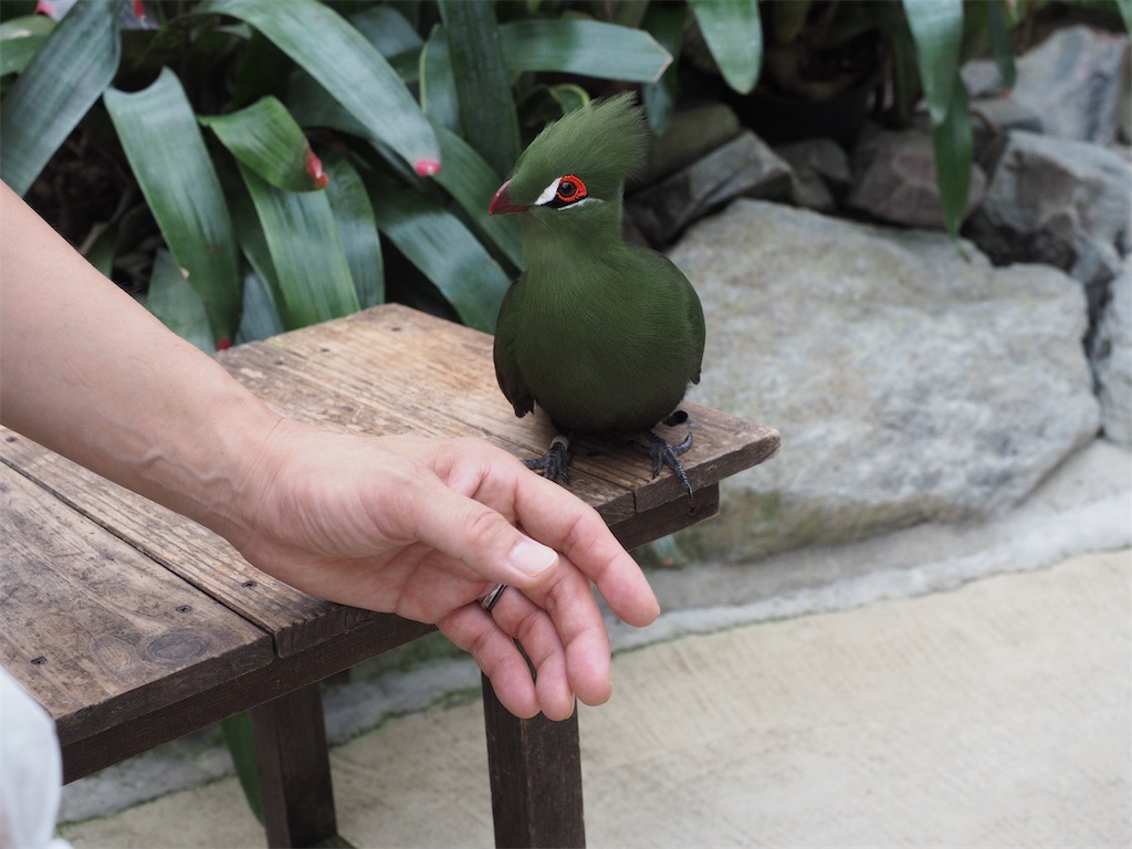 f:id:aknyonaka:20240915143853j:image