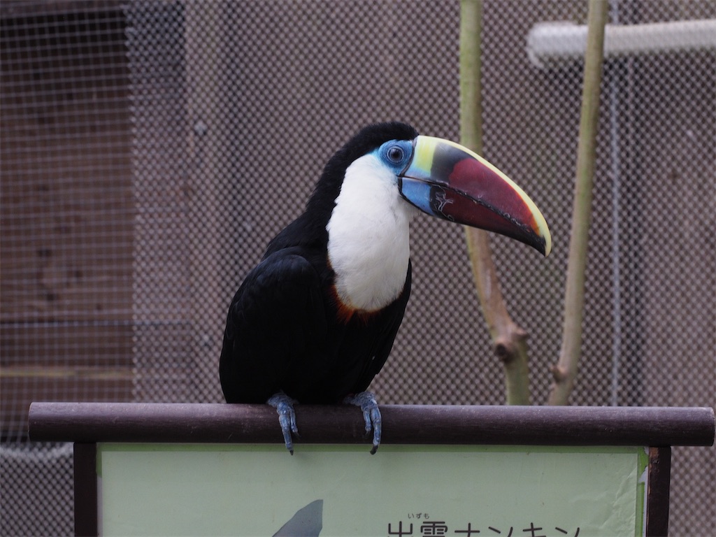 f:id:aknyonaka:20240915144045j:image