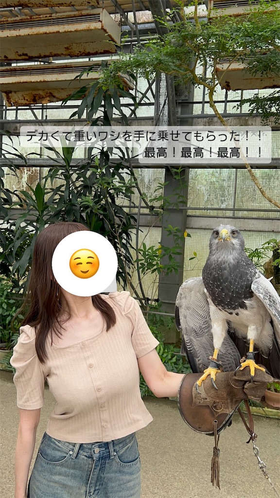 f:id:aknyonaka:20240915144058j:image