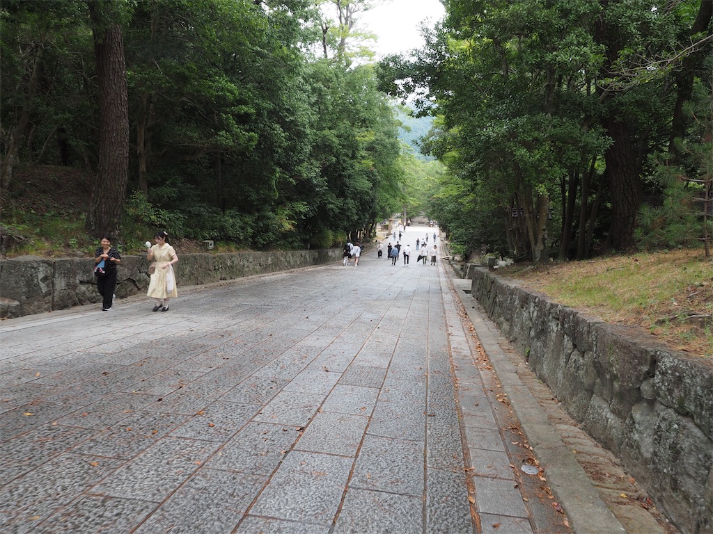 f:id:aknyonaka:20240915145110j:image