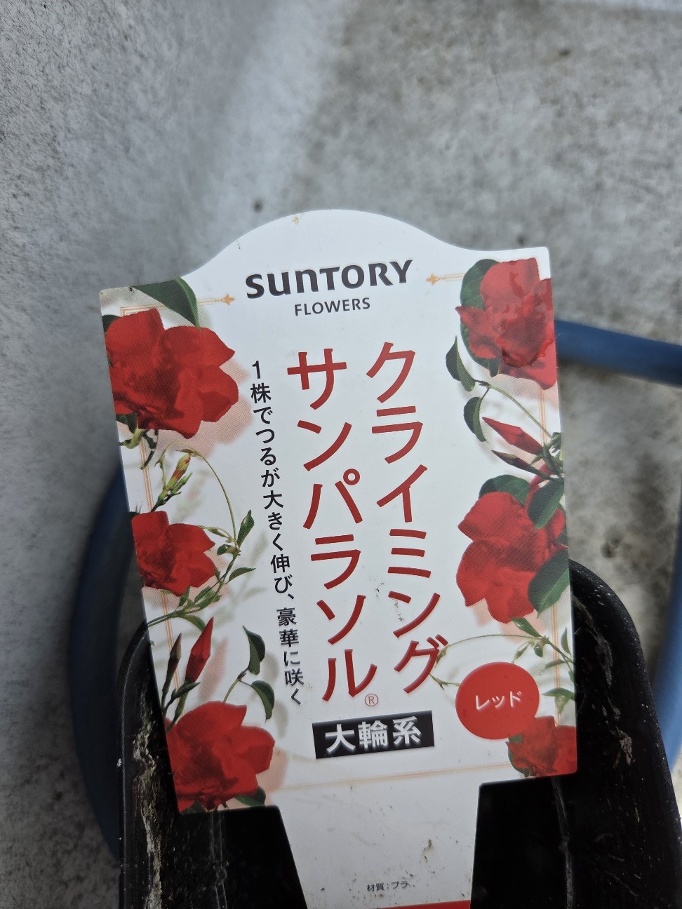 f:id:ako1949:20260504120539j:image