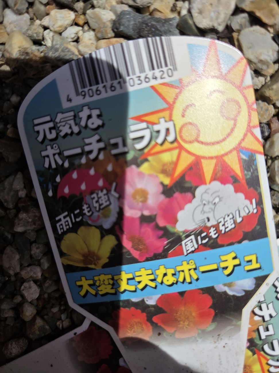 f:id:ako1949:20260504120540j:image