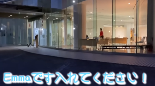 f:id:akochanm:20210119132112p:plain