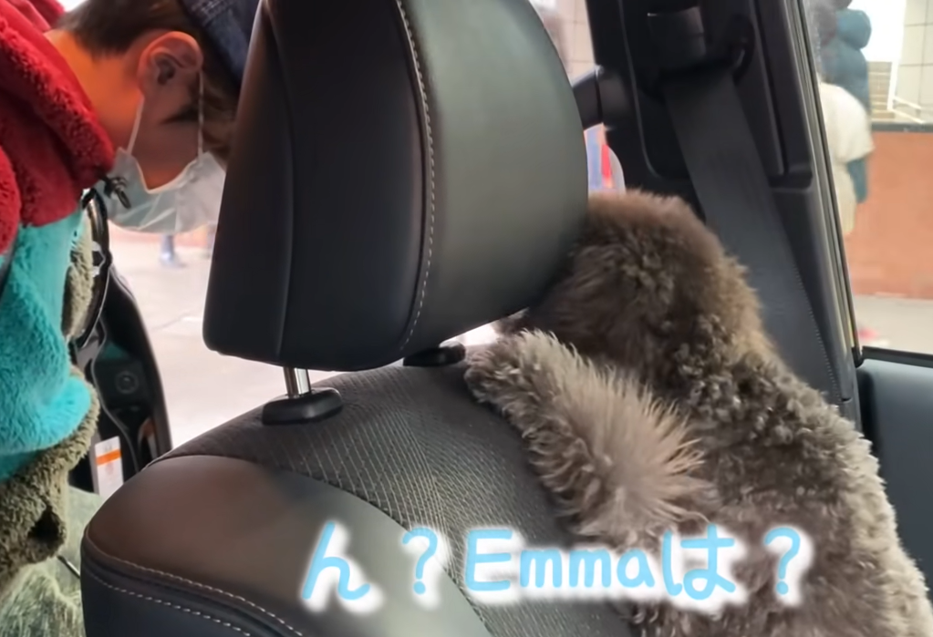 f:id:akochanm:20210119133147p:plain