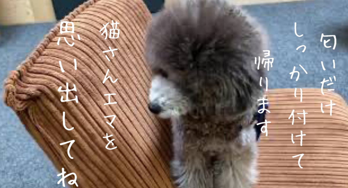f:id:akochanm:20210315110903p:plain