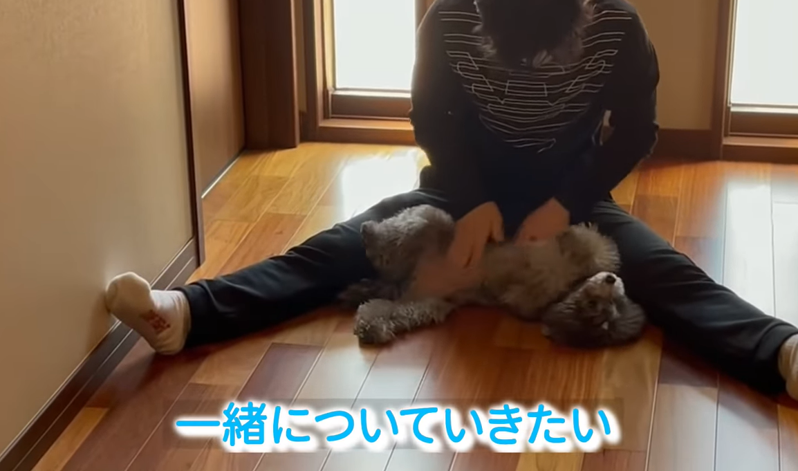 f:id:akochanm:20210419220908p:plain