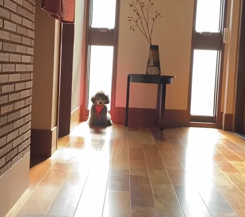 f:id:akochanm:20210529201017p:plain