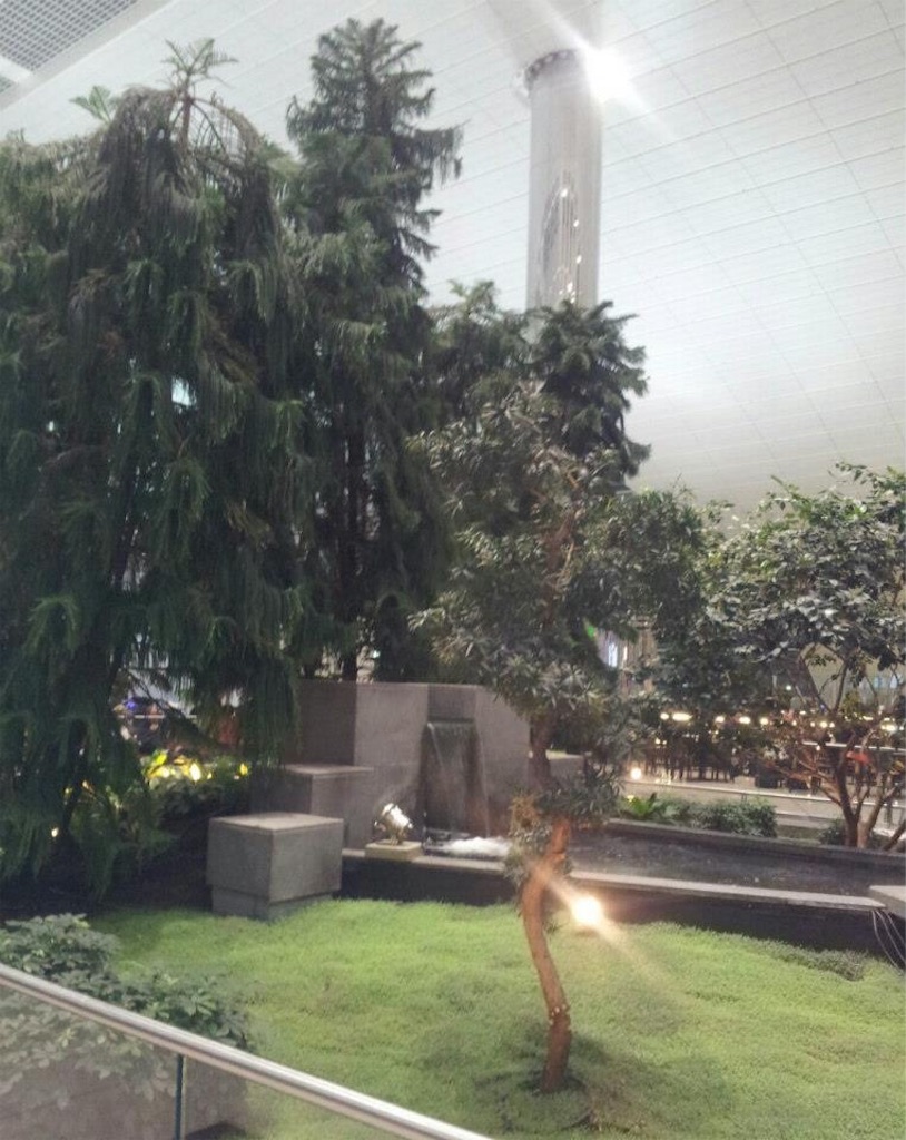 f:id:akoizuminobaka:20170710042014j:image f:id:akoizuminobaka:20170710042014j:image