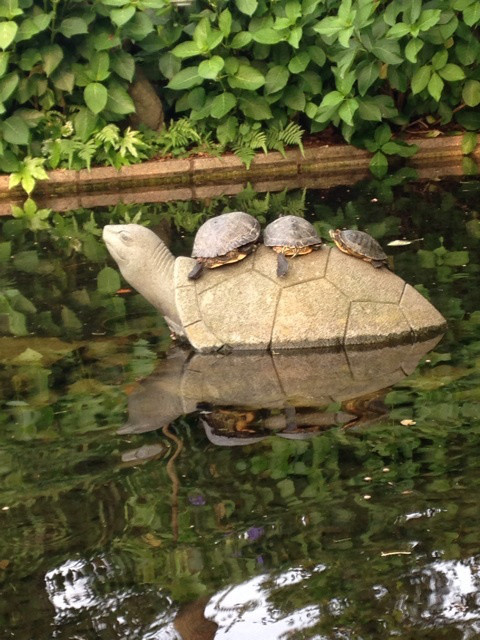 {97C1ED01-28A2-4270-9E41-029D38612BD2:01}