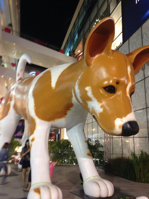 {CF6D730F-483B-415B-804D-9E042793C863:01}