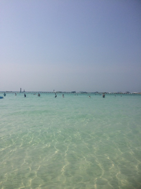 {69B86ECF-1000-4CAA-872D-FFC2371A4A66}