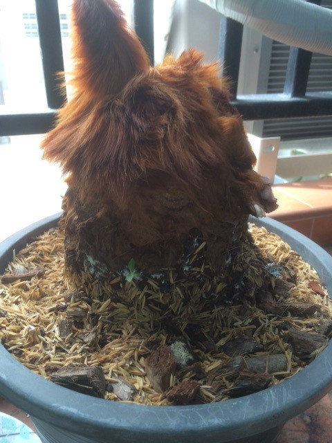 {8C40A57F-144D-46C0-808C-AC8E46002BC1}