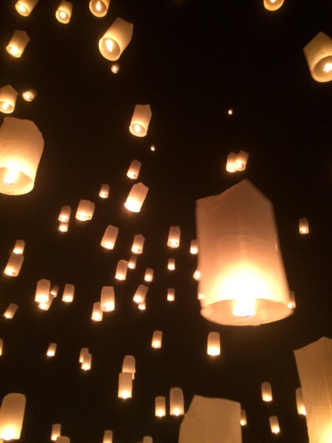 {14DB511E-695A-469A-9432-577A244B3E65}