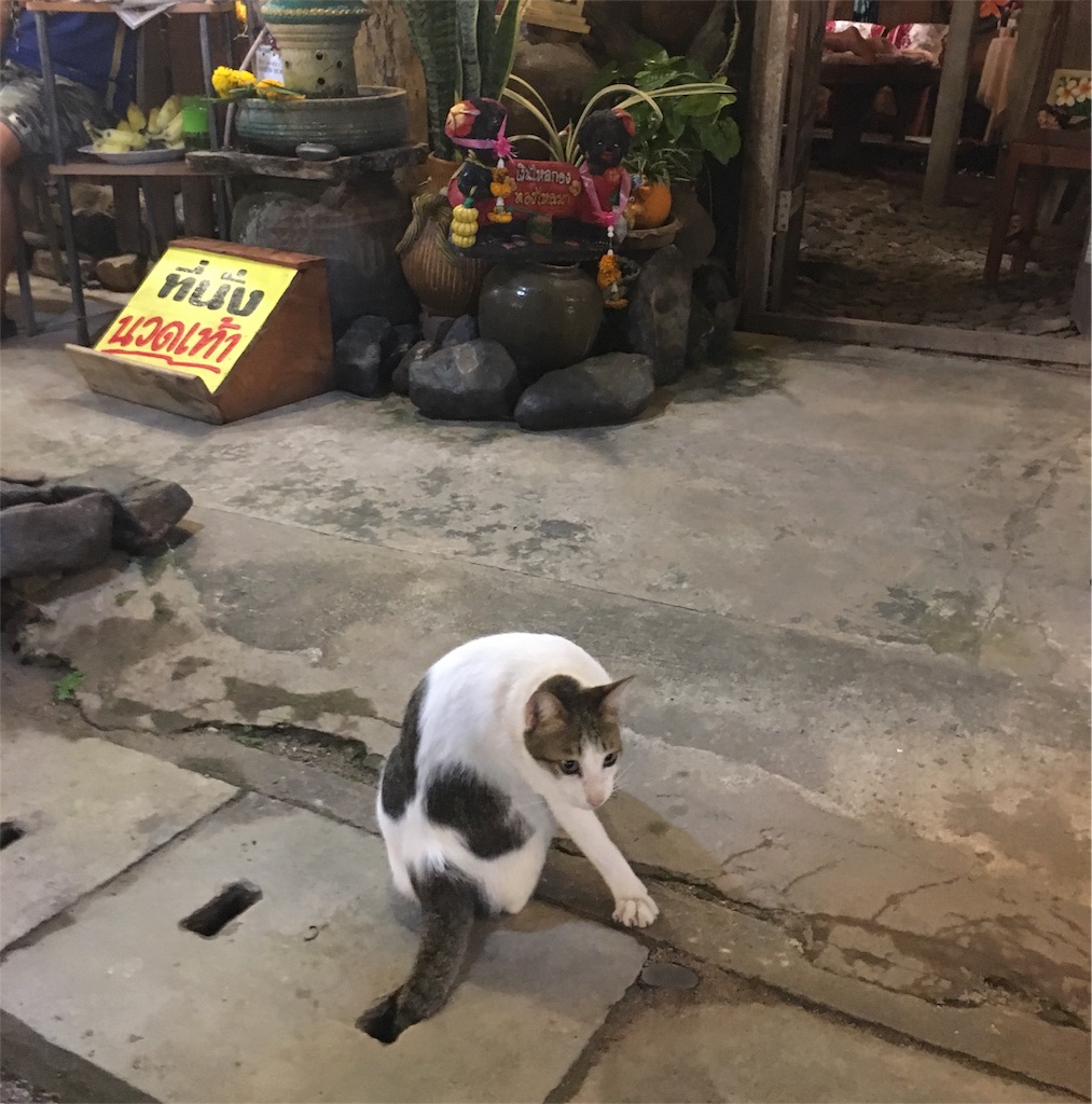 f:id:akoizuminobaka:20171029043137j:image