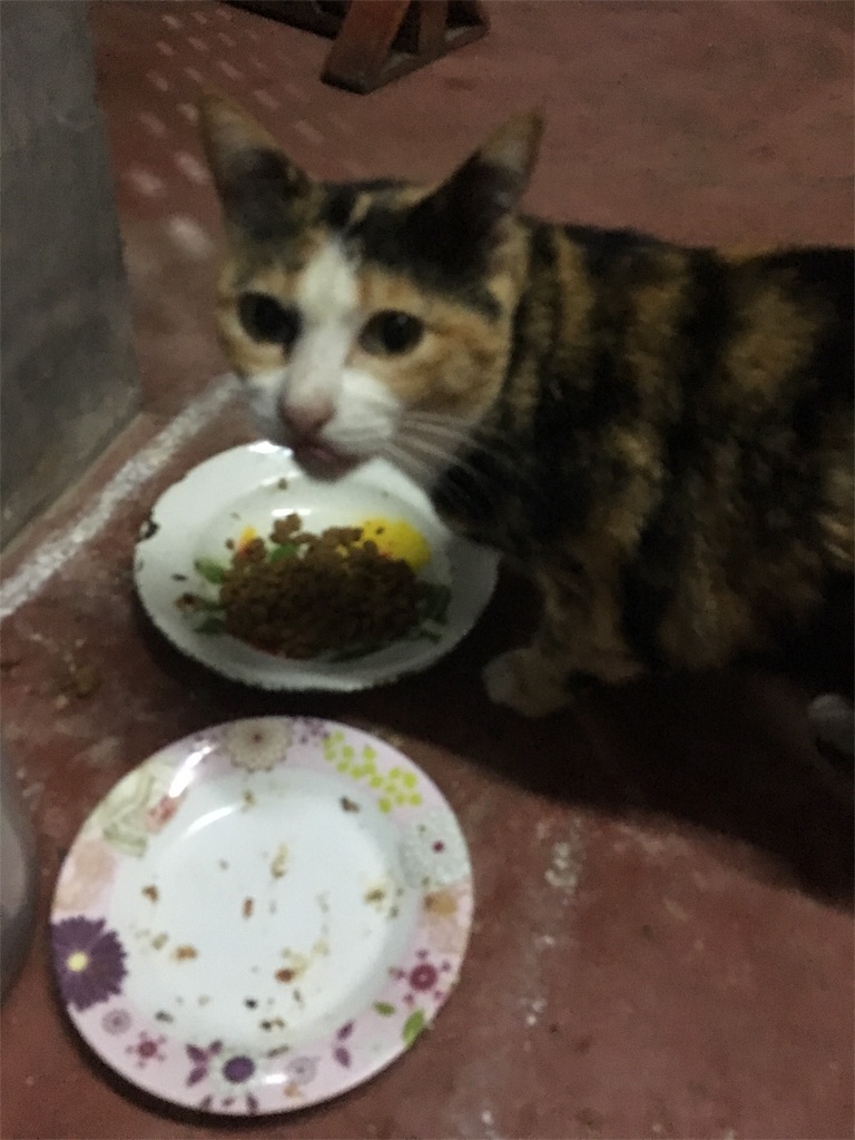 f:id:akoizuminobaka:20171029043232j:image